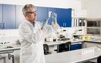 Human Lymphotoxin Beta (LTb) ELISA Kit Stability