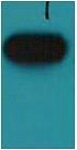 HA-Tag Monoclonal Antibody